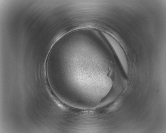 X0000067460858200604101131