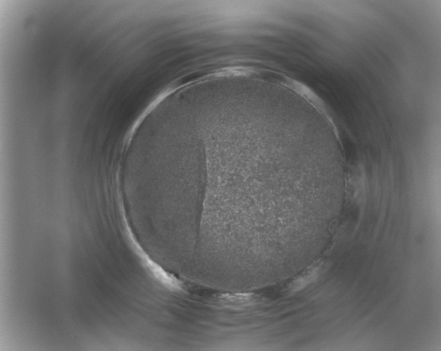 X0000067460859200604101131