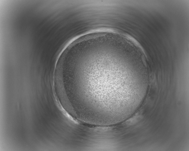 X0000067460860200604101131