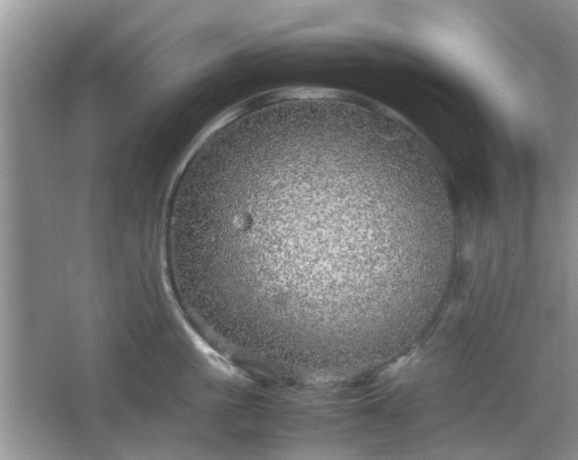 X0000067460861200604101131