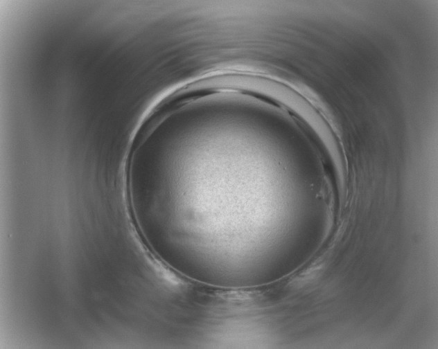 X0000067460862200604101131