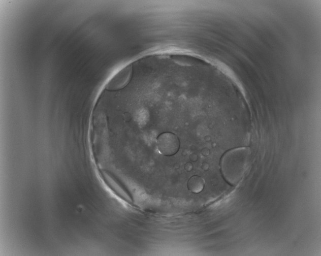 X0000067460863200604101131