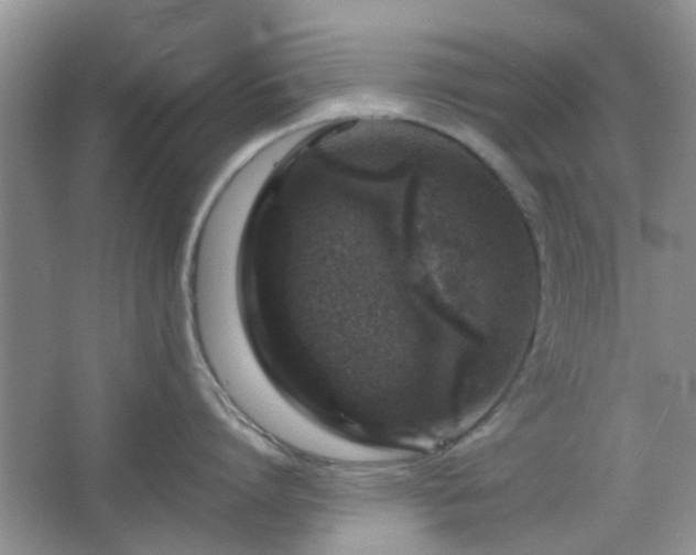 X0000067460864200604101131