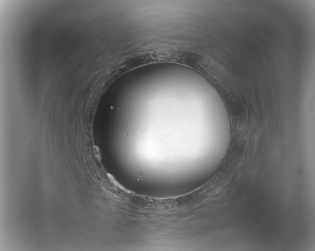 X0000067460865200604101130