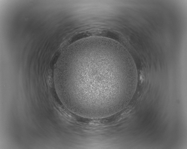 X0000067460867200604101130