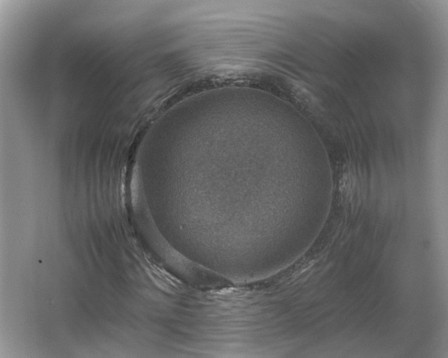 X0000067460868200604101130