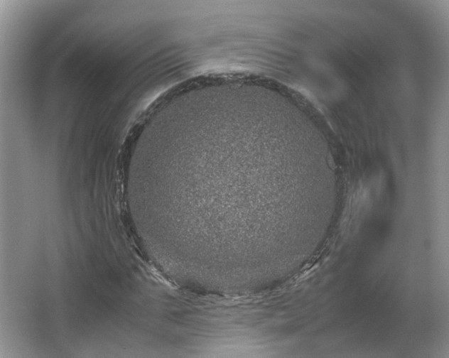 X0000067460871200604101130