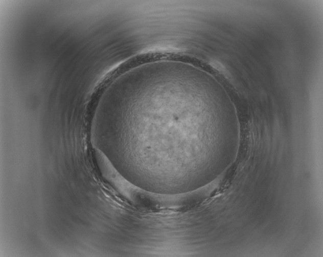 X0000067460872200604101130