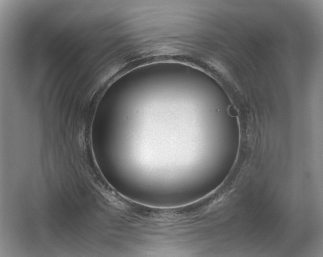 X0000067460873200604101130