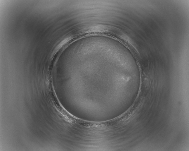 X0000067460874200604101130