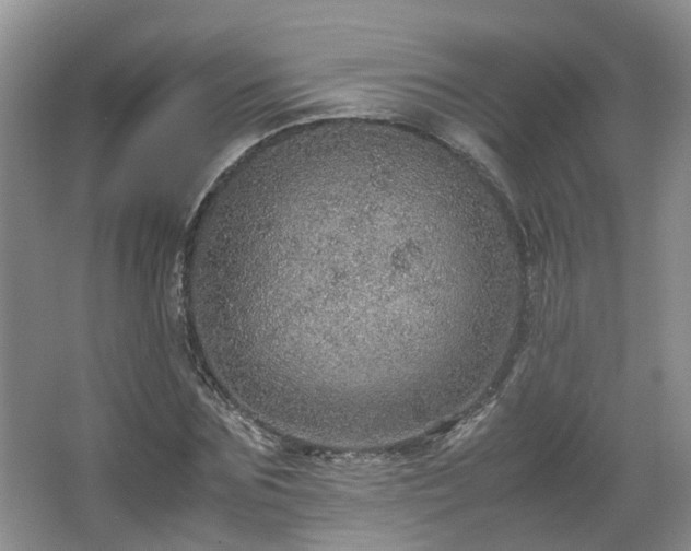 X0000067460875200604101130