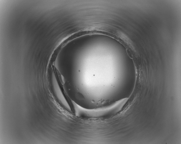 X0000067460876200604101130