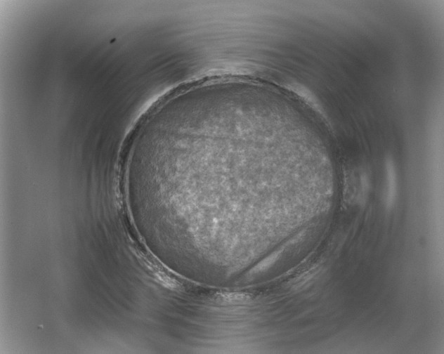 X0000067460878200604101130