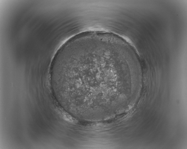 X0000067460879200604101130