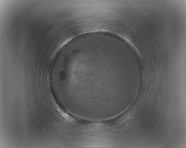 X0000067460881200604101130