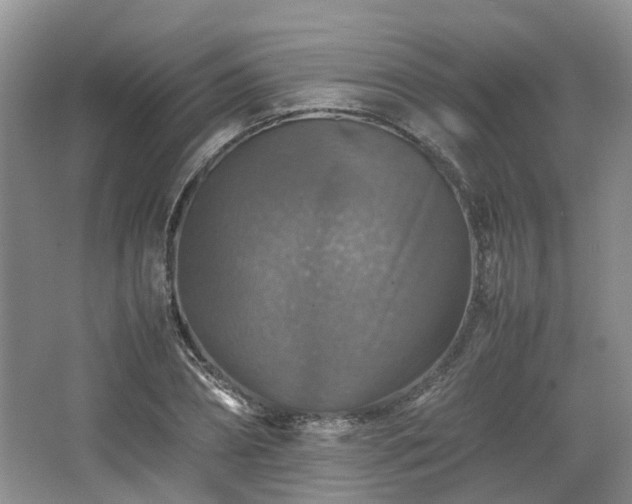 X0000067460882200604101130