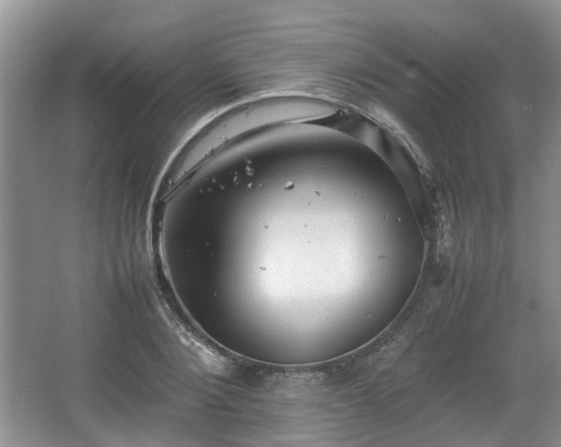 X0000067460884200604101130