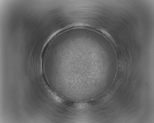 X0000067460886200604101130