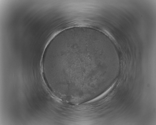 X0000067460891200604101130