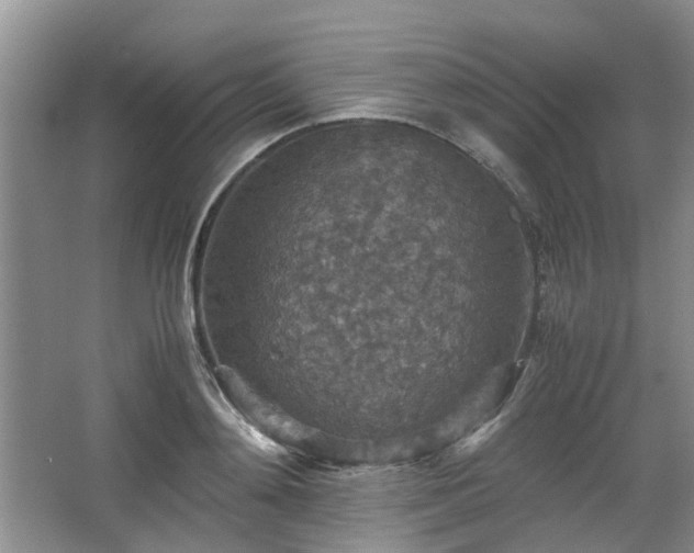 X0000067460892200604101130