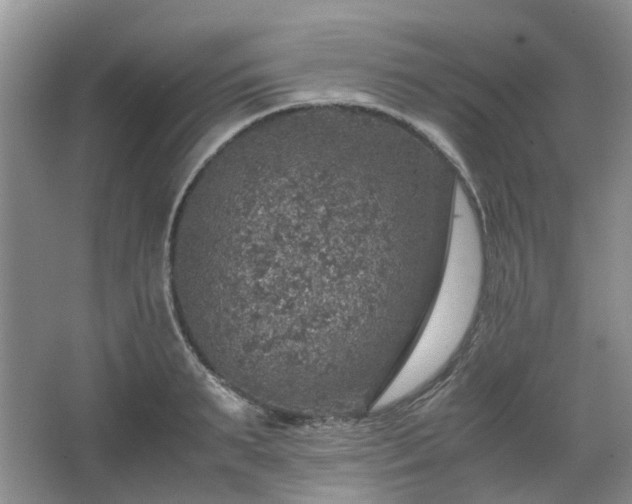 X0000067460895200604101130