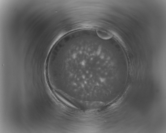 X0000067460899200604101130