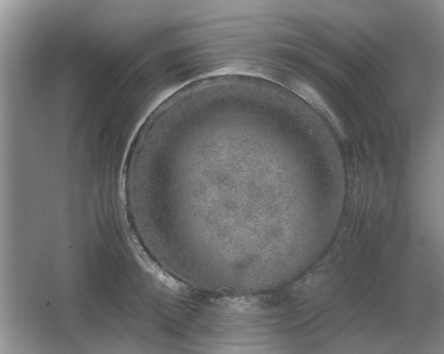 X0000067460900200604101130