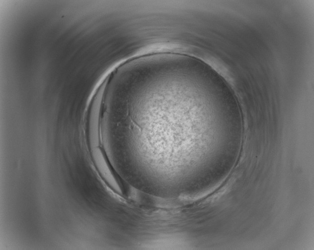 X0000067460912200604101129