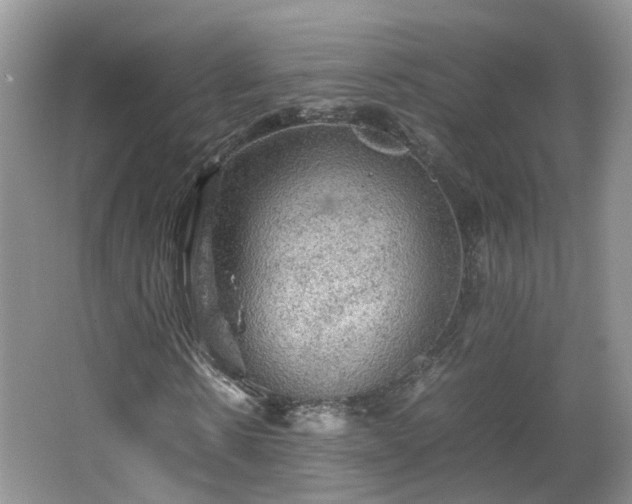 X0000067460914200604101129