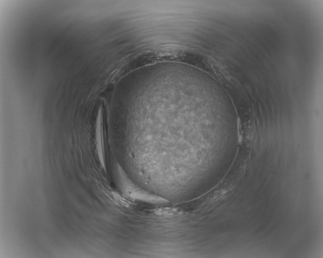 X0000067460916200604101129