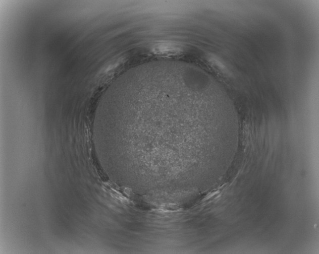 X0000067460917200604101129