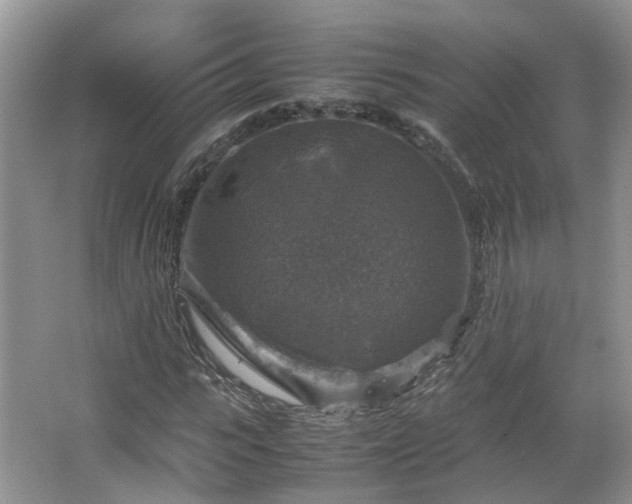 X0000067460919200604101129