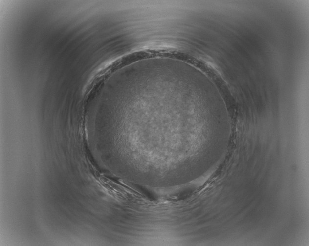 X0000067460920200604101129