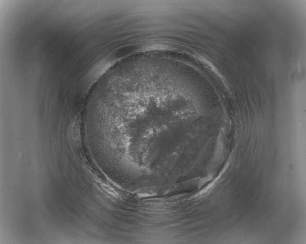 X0000067460921200604101129