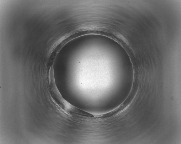 X0000067460922200604101129