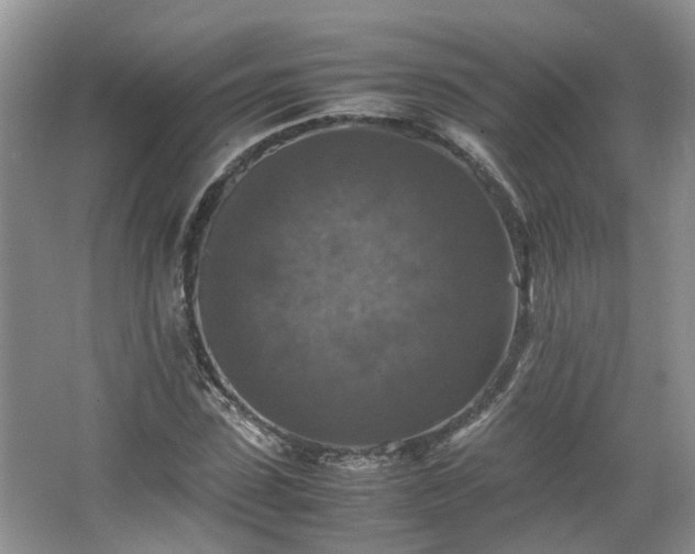 X0000067460923200604101129