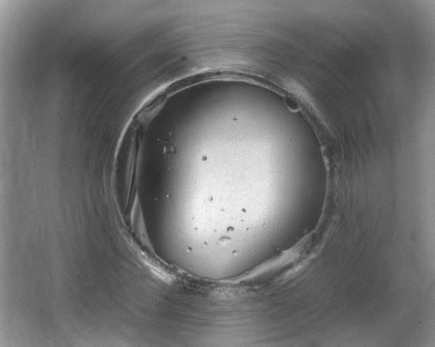 X0000067460924200604101129