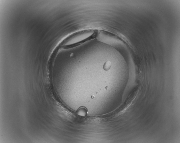 X0000067460926200604101129