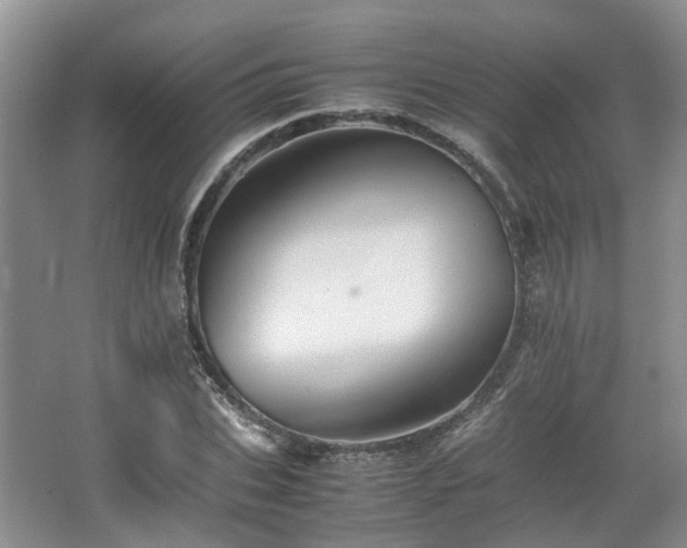 X0000067460927200604101129