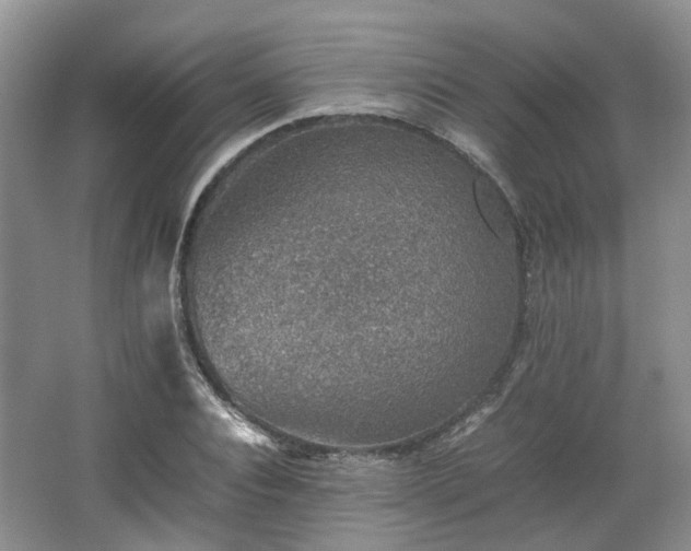 X0000067460928200604101129