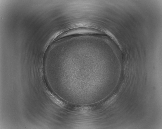 X0000067460930200604101129