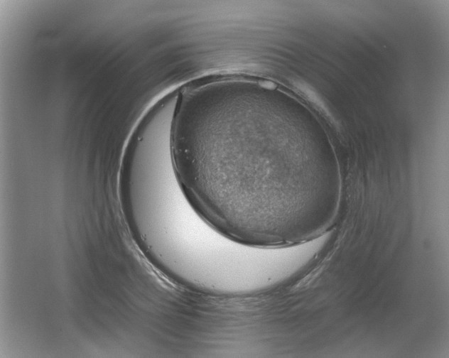 X0000067460932200604101129