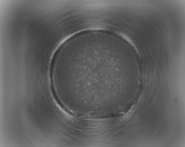 X0000067460935200604101129