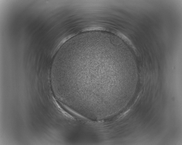 X0000067460937200604101129