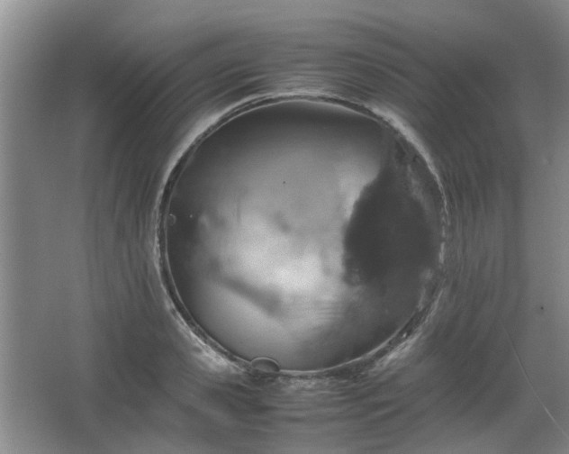 X0000067460941200604101129