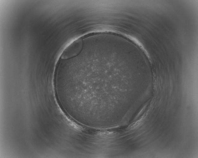 X0000067460943200604101129