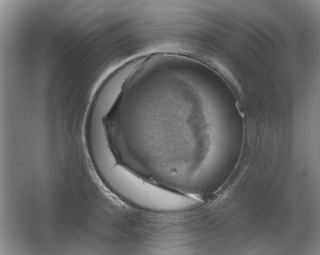 X0000067460944200604101129