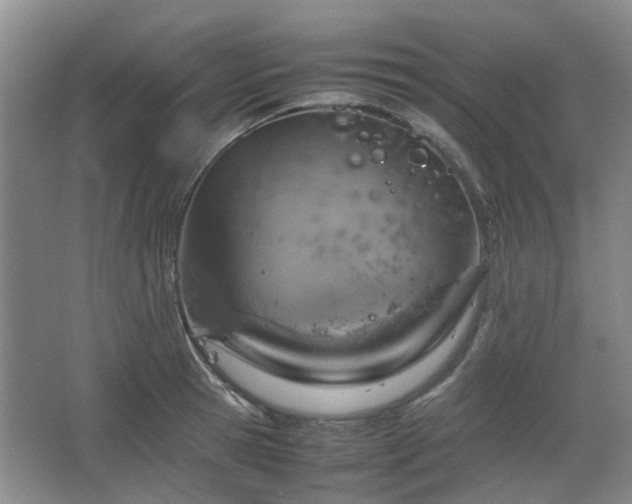 X0000067460945200604101129