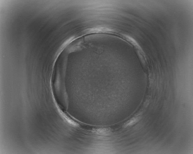 X0000067460946200604101129