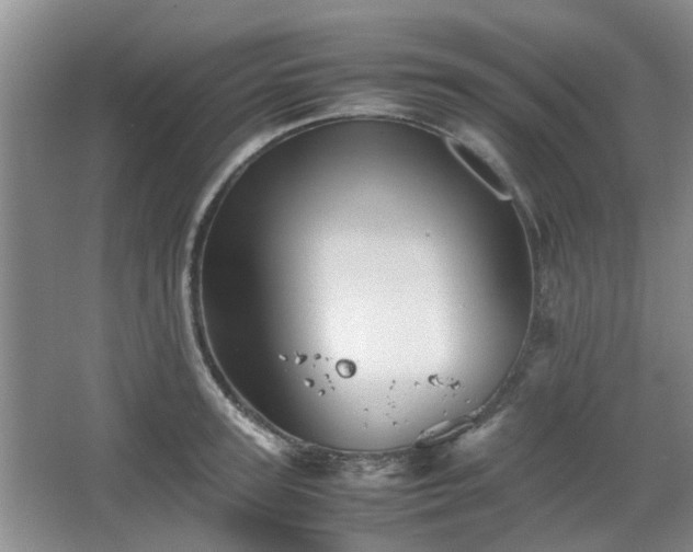 X0000067460947200604101129